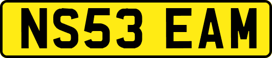 NS53EAM