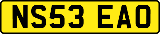 NS53EAO