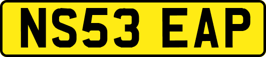 NS53EAP