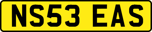 NS53EAS