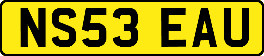 NS53EAU