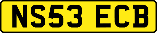 NS53ECB