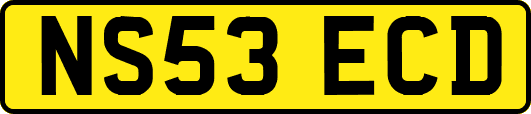 NS53ECD