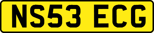 NS53ECG
