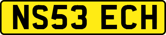 NS53ECH