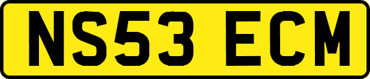 NS53ECM