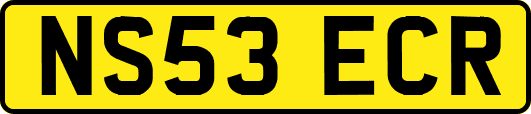 NS53ECR