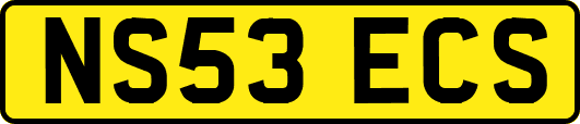 NS53ECS