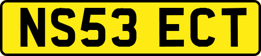 NS53ECT