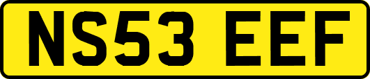 NS53EEF