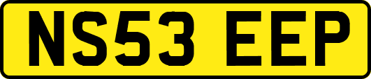 NS53EEP