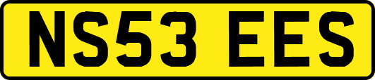 NS53EES