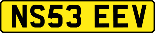 NS53EEV