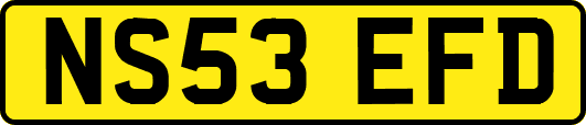 NS53EFD