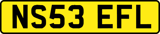 NS53EFL