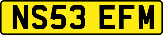 NS53EFM