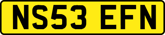 NS53EFN