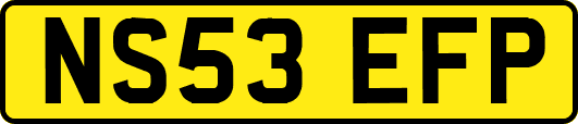 NS53EFP