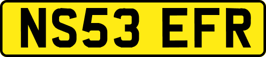 NS53EFR