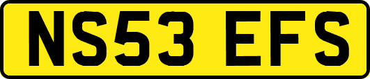 NS53EFS