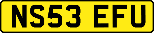 NS53EFU