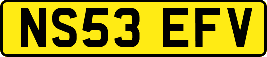 NS53EFV