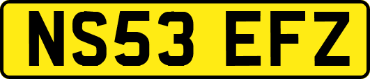NS53EFZ