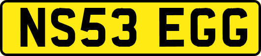 NS53EGG