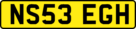 NS53EGH