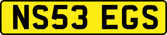 NS53EGS