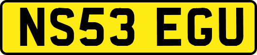 NS53EGU