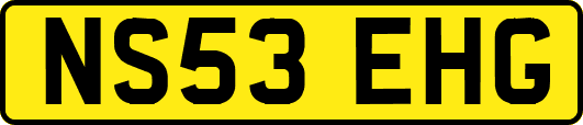NS53EHG