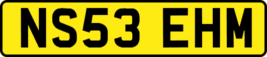 NS53EHM
