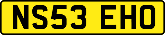 NS53EHO