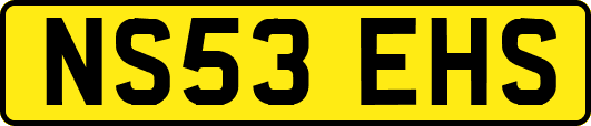 NS53EHS