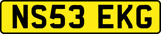 NS53EKG