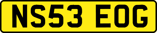 NS53EOG