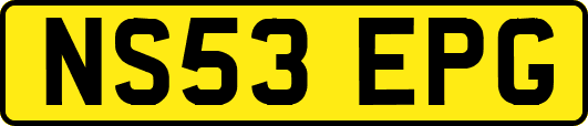 NS53EPG