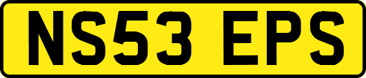 NS53EPS