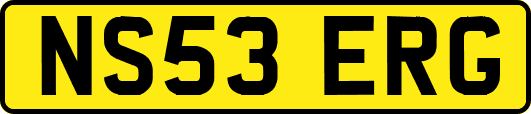 NS53ERG