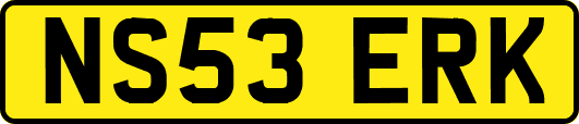 NS53ERK