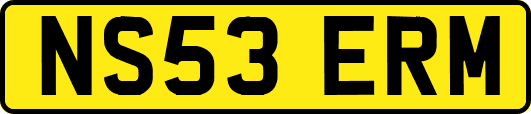 NS53ERM