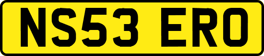 NS53ERO