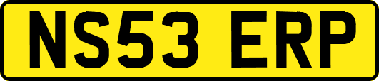 NS53ERP