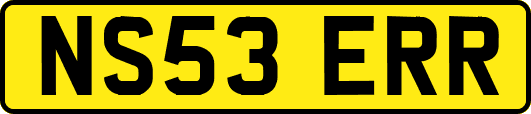 NS53ERR