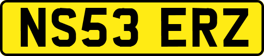 NS53ERZ