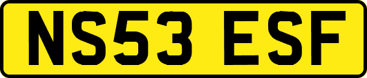 NS53ESF