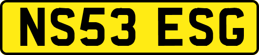 NS53ESG