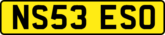 NS53ESO
