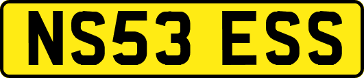 NS53ESS